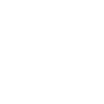 Microsoft Partner